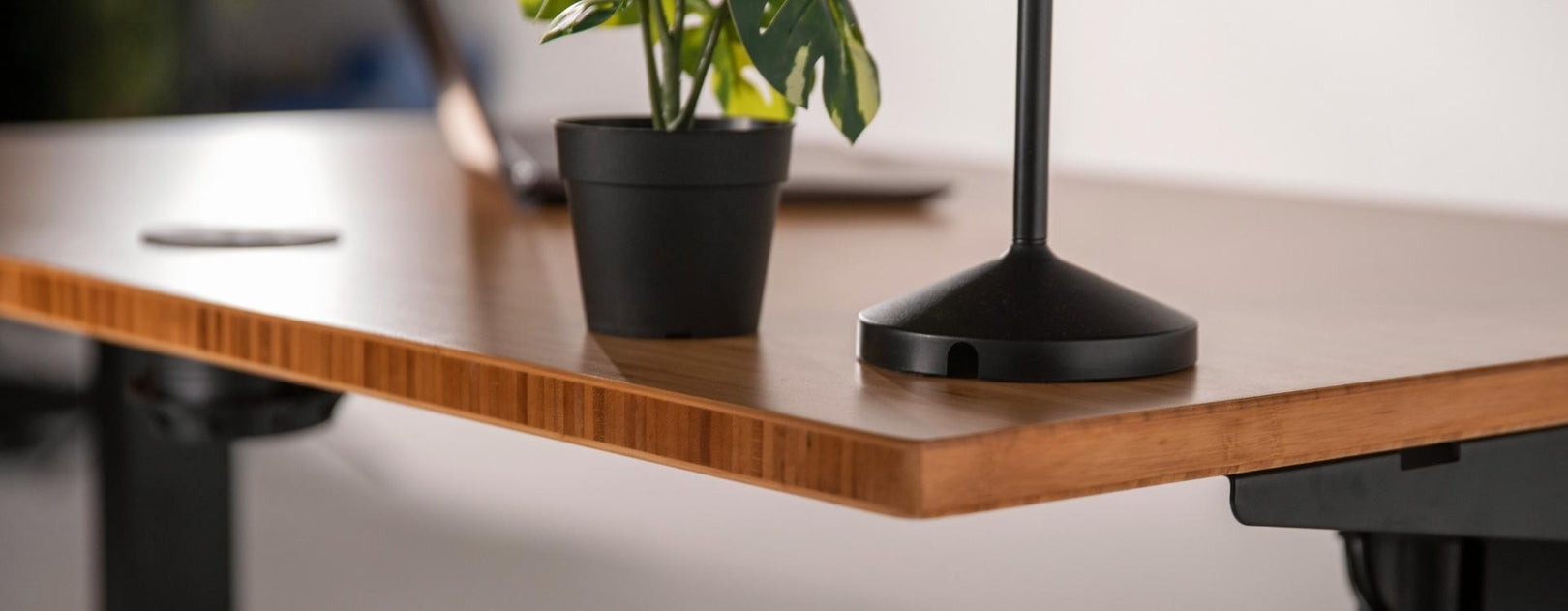 <p>Bamboo Tabletops for Standing Desks</p>