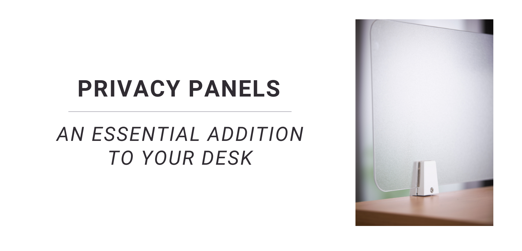 Why Privacy Panels are an Essential Addition to Your Desk ...