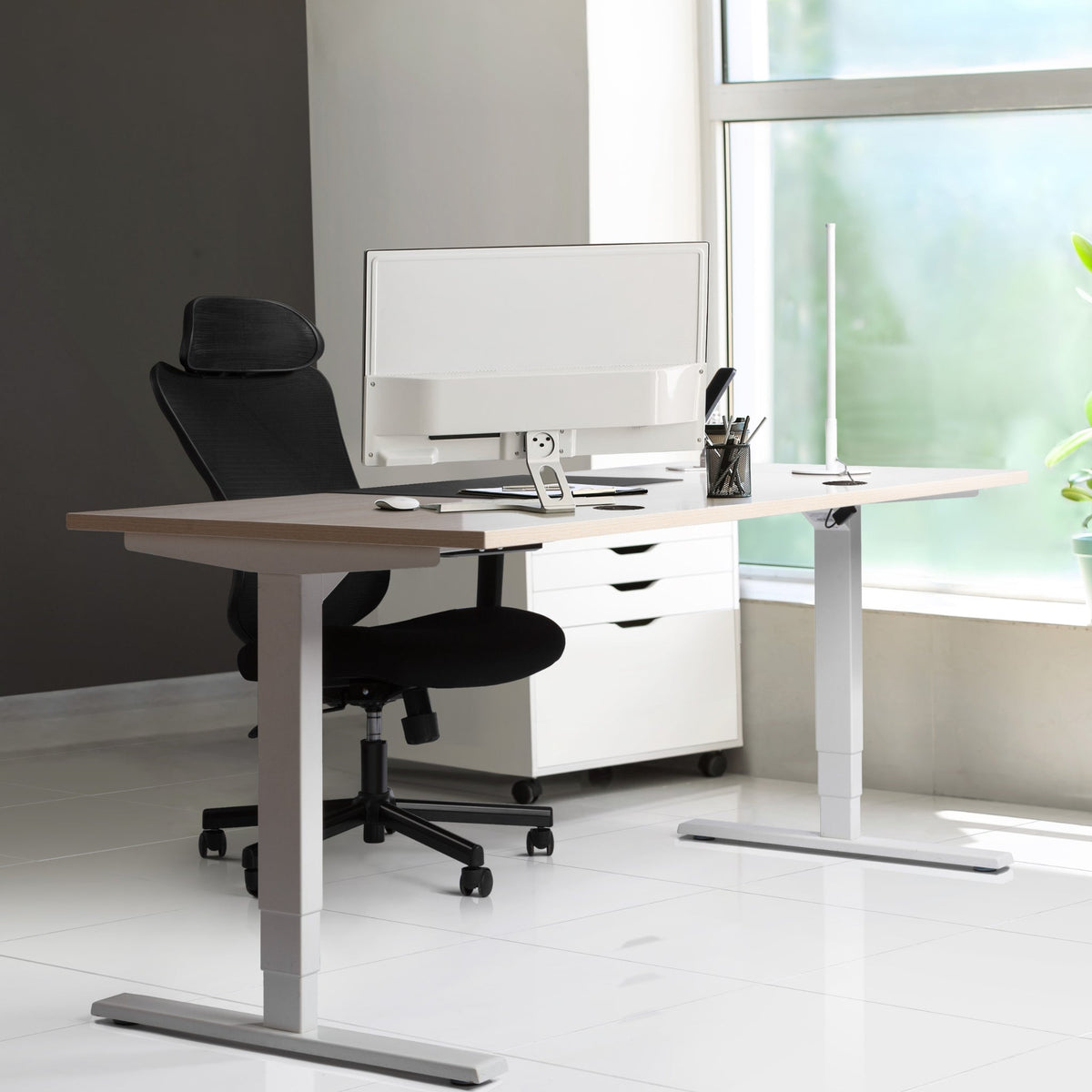 Solo Ryzer Sit-Stand Desks Full Collection Canada – Progressive Desk ...