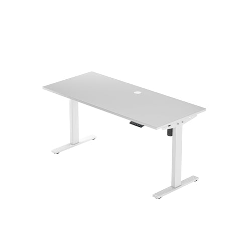 Economy Ryzer Standing Desk