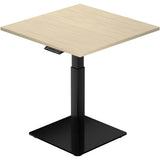 Mini Ryzer - Small Adjustable Standing Desk