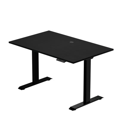 Prime Ryzer — Entry-Level Standing Desk