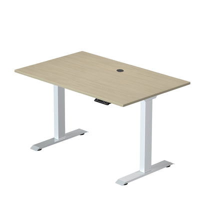 Prime Ryzer — Entry-Level Standing Desk